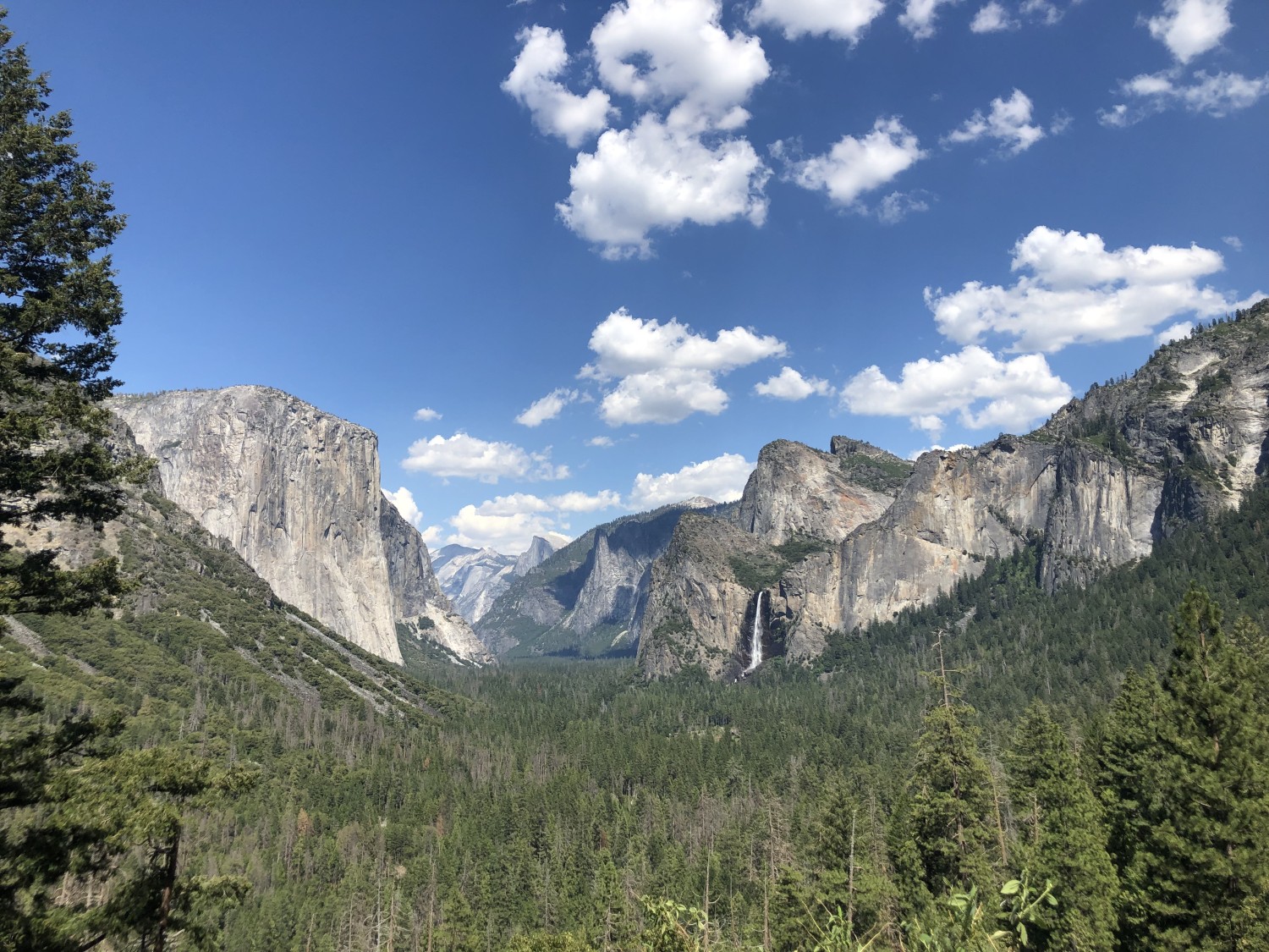 Yosemite Family Vacation | Austin Adventures