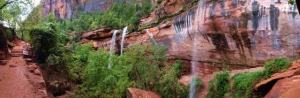 A Rainy Day in Zion by Emily Todd | Austin Adventures