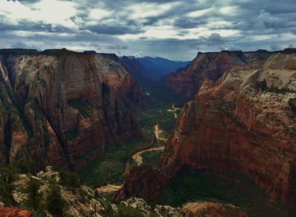 A Rainy Day in Zion by Emily Todd | Austin Adventures