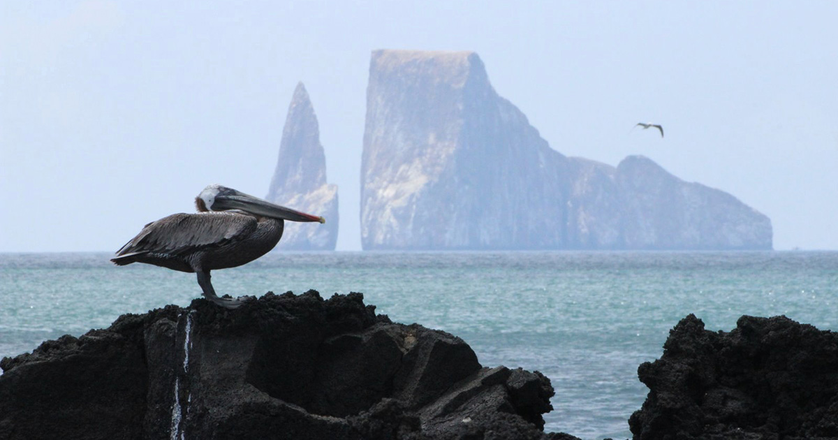 Ultimate Galapagos Islands Adventure 2024/2025 Austin Adventures